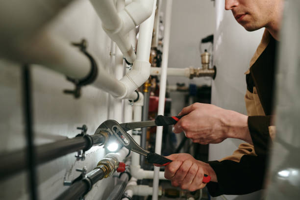 Best Plumbing Inspection Services  in Roselle, IL