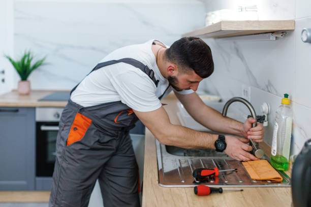 Trusted Roselle, IL Plumbing Experts