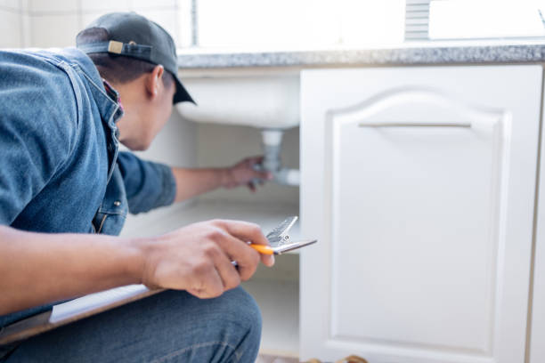 Best Sprinkler Systems  in Roselle, IL