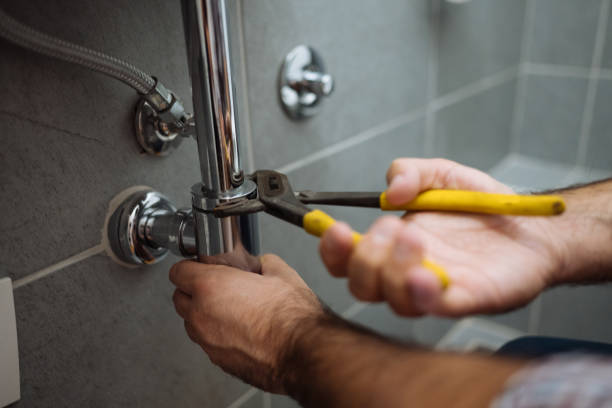 Best Septic Systems  in Roselle, IL