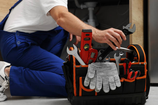 Best Leak Detection Services  in Roselle, IL