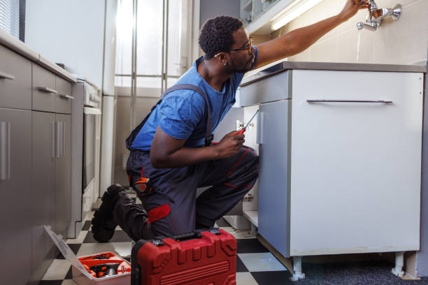 Best Local Plumber Services  in Roselle, IL