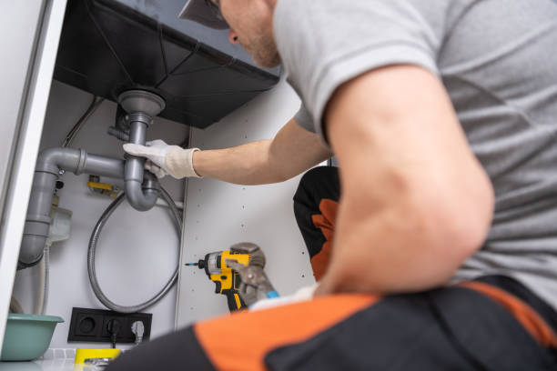Best Plumbing Inspection Services  in Roselle, IL