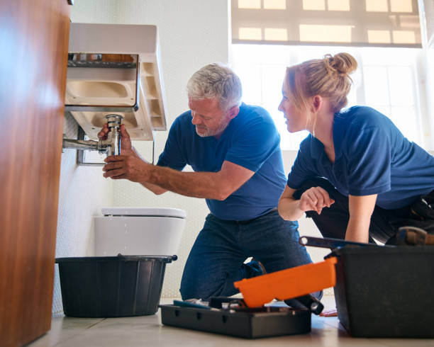 Best Clogged Drain Plumber  in Roselle, IL