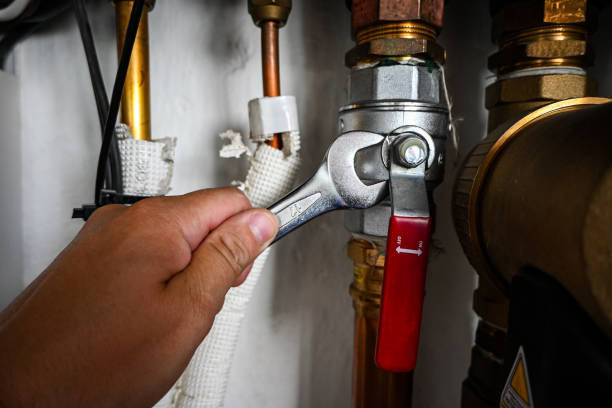 Best Affordable Plumber Near Me  in Roselle, IL